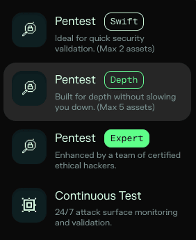 Pentest type selection: Swift, Depth, Expert, and Continuous Test